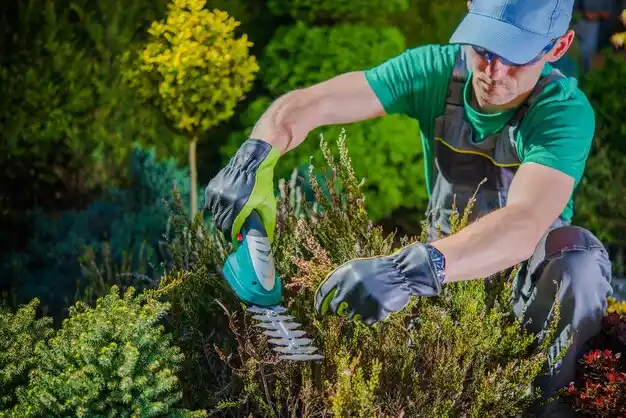 landscaping services Sunset Hills